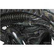 Alien Warrior Life-Size Bust Sideshow