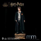 Harry Potter et la Chambre des Secrets - Harry Potter Statue Taille Réelle 1/1 Muckle