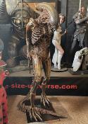 Alien Resurrection Alien Warrior Statue Taille Réelle