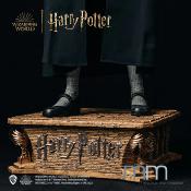 Harry Potter et la Chambre des Secrets - Hermione Granger Statue Taille Réelle 1/1 Muckle