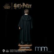 Harry Potter et la Chambre des Secrets - Harry Potter Statue Taille Réelle 1/1 Muckle