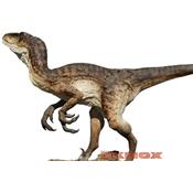 Raptor Deinonychus Life-Size Statue Oxmox Muckle (RA-2)