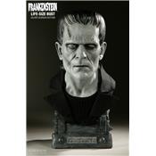 Frankenstein Boris Karloff Buste Taille Réelle Sideshow Silver Screen Edition