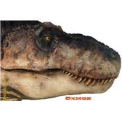 T-Rex Head Life-Size Statue Closed Mouth Oxmox Muckle