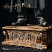 Harry Potter et la Chambre des Secrets - Harry Potter Statue Taille Réelle 1/1 Muckle