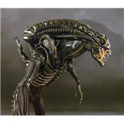 Alien Warrior Statue Taille Réelle Hollywood Collectibles