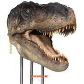 T-Rex Head Life-Size Statue Open Mouth Oxmox Muckle