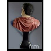 Superman Classic Life-Size Bust Oxmox Muckle