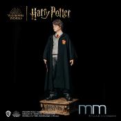 Harry Potter et la Chambre des Secrets - Harry Potter Statue Taille Réelle 1/1 Muckle