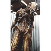 Alien Resurrection Alien Warrior Statue Taille Réelle