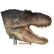 Tête T-Rex Statue Taille Réelle Gueule Ouverte Oxmox Muckle