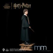 Harry Potter et la Chambre des Secrets - Harry Potter Statue Taille Réelle 1/1 Muckle